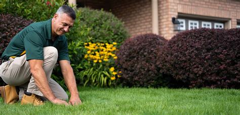 Professional Service Weed Man is a well-established lawn care company with over 250 local offices nationwide. . Weed man lawncare